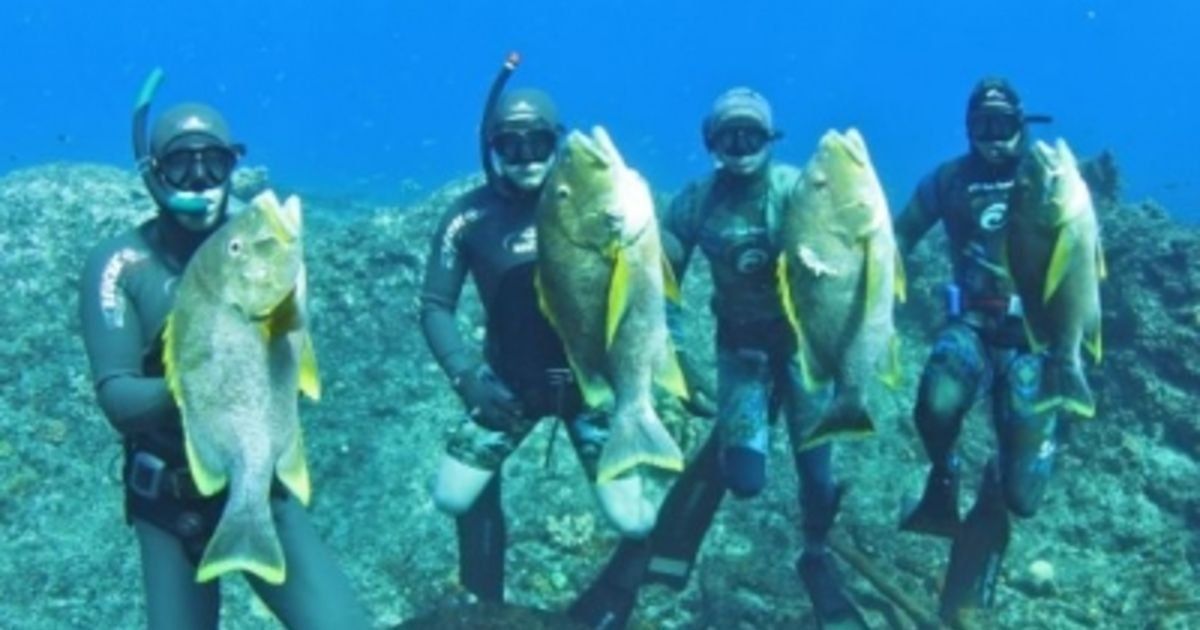 Kedudukan senjata spearfishing terbaik pada tahun 2024