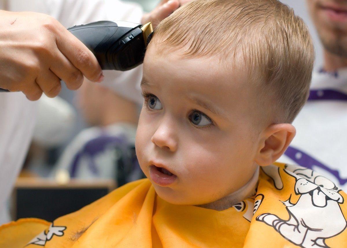 Gunting terbaik untuk gunting rambut pada tahun 2024