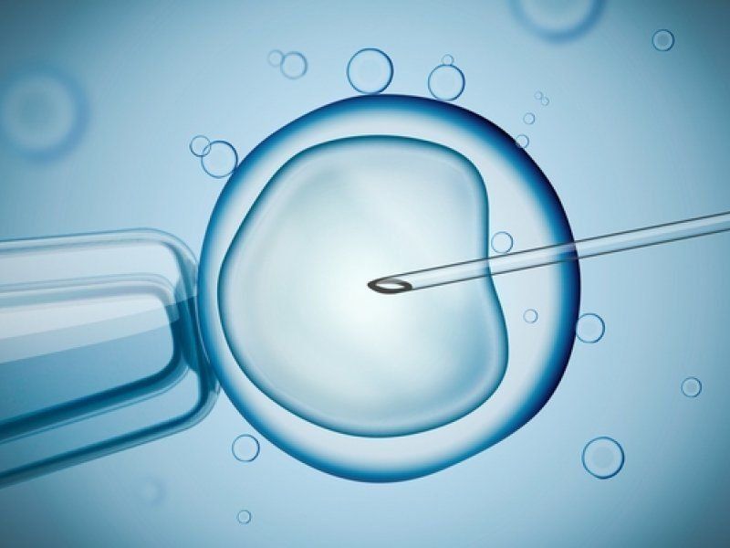 Kedudukan klinik IVF terbaik di Nizhny Novgorod pada tahun 2024