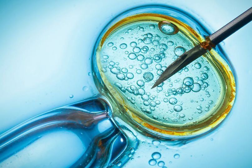 Klinik IVF terbaik di Perm pada tahun 2024