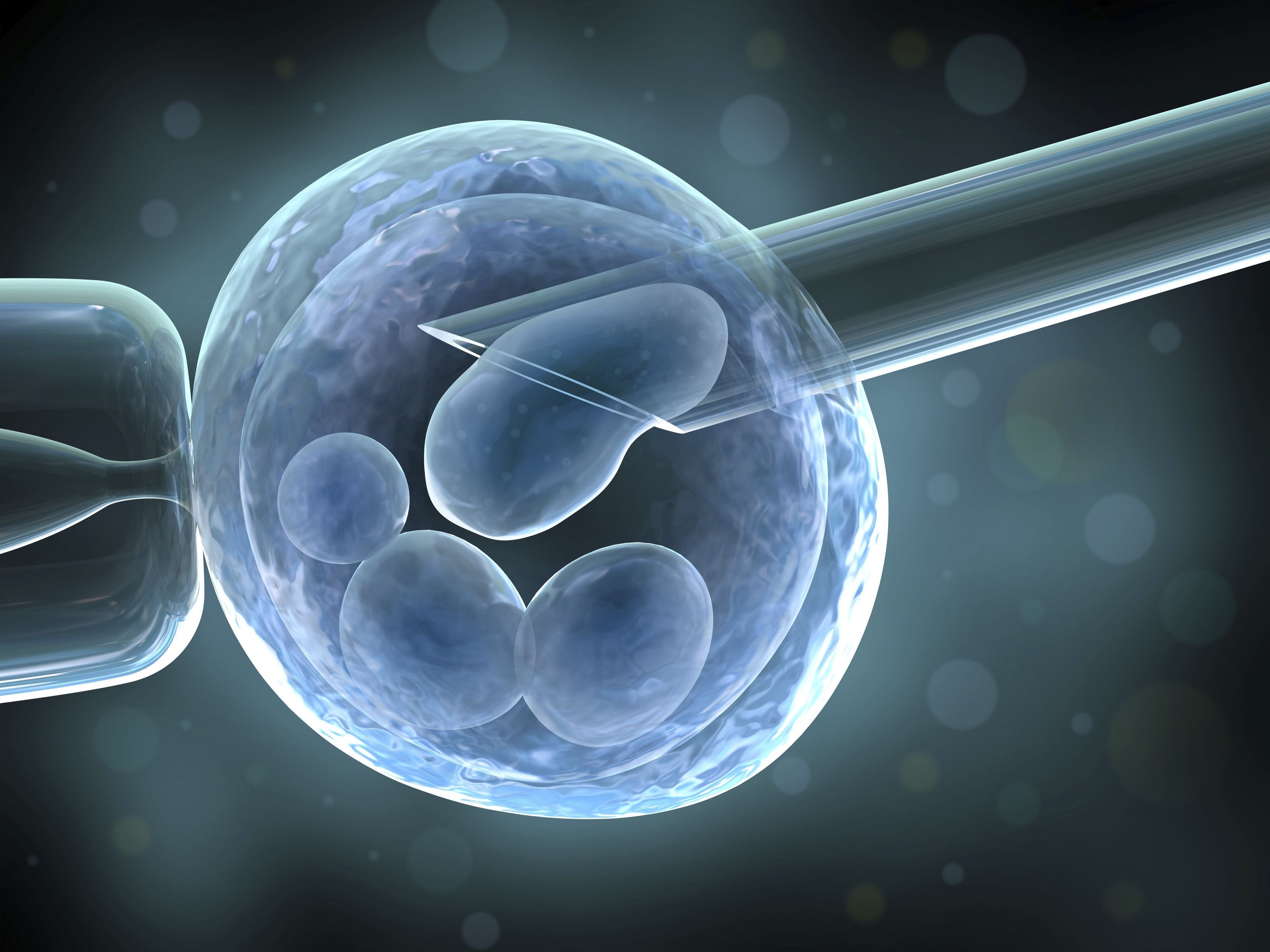 Kedudukan klinik IVF terbaik di Novosibirsk pada tahun 2024 dengan ulasan dan hasil yang positif