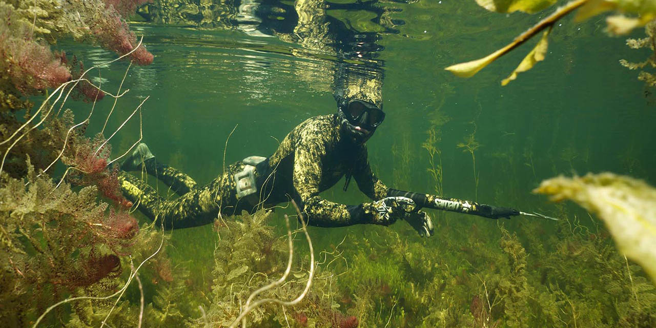 Kedudukan gelendong spearfishing terbaik untuk tahun 2024