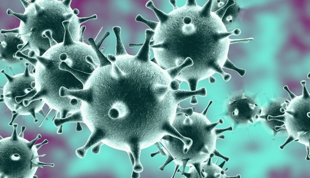 Évaluation des meilleurs remèdes anti-coronavirus pour 2024